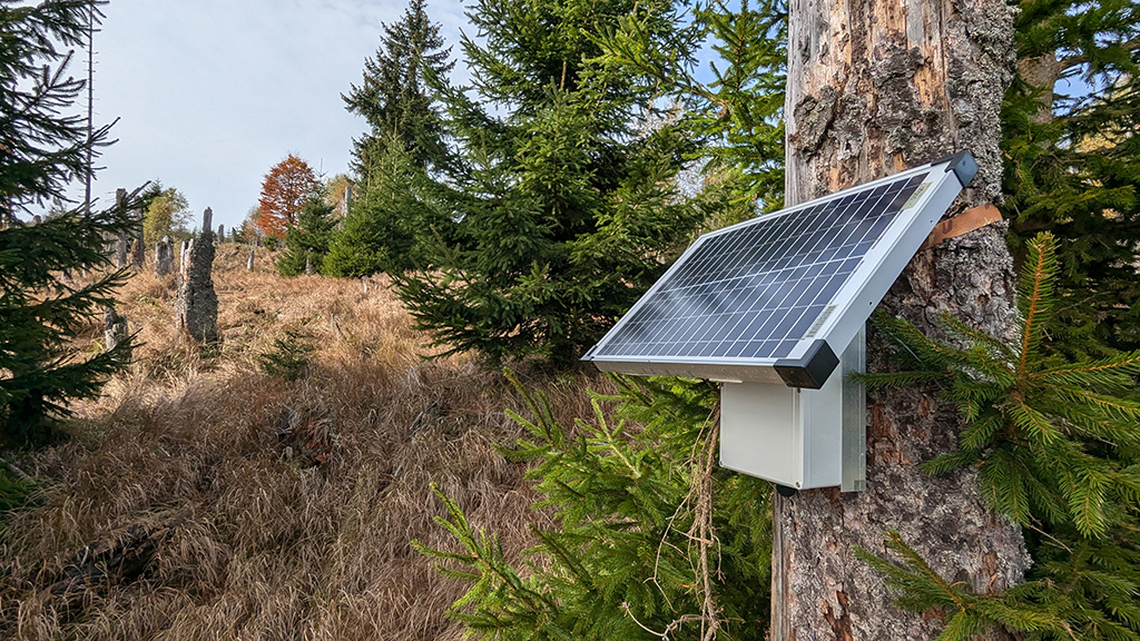 BirdNET about header