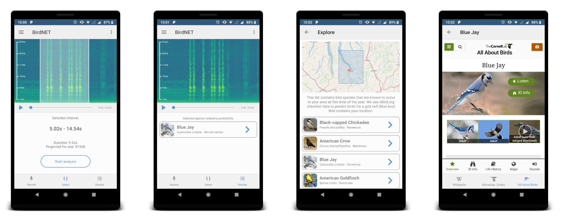 BirdNET app interface screenshots