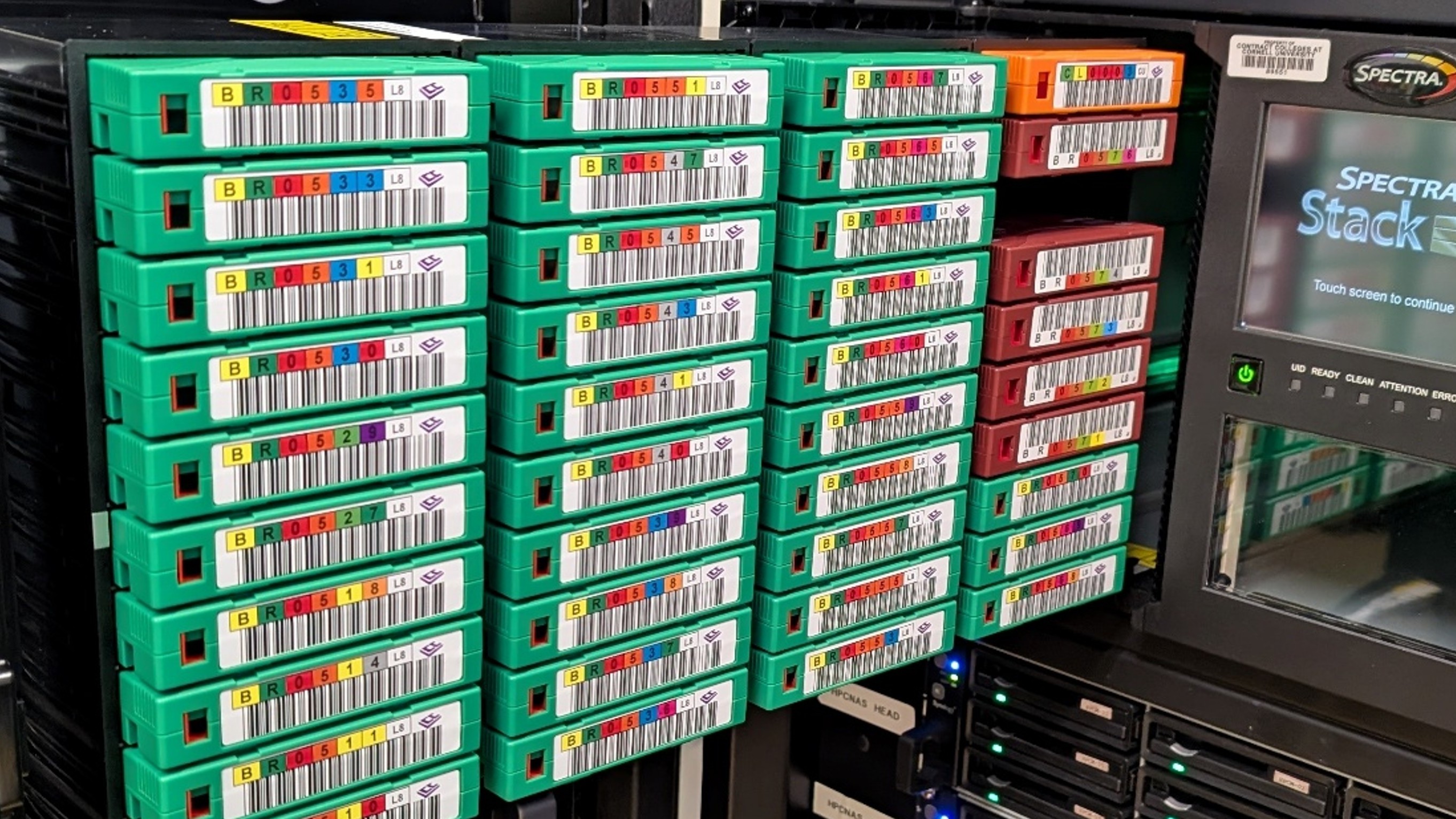 BirdNET contribute header