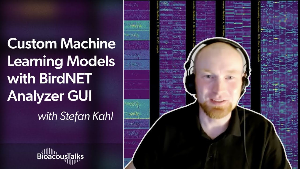 BioacousTalks: Custom Machine Learning Models with BirdNET Analyzer